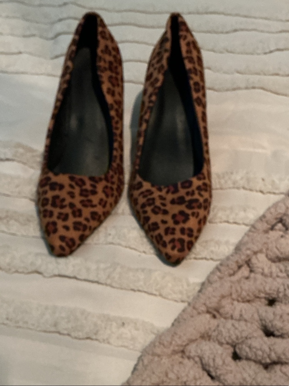 Leopard Print Pointed-Toe Pumps - Brown/Black